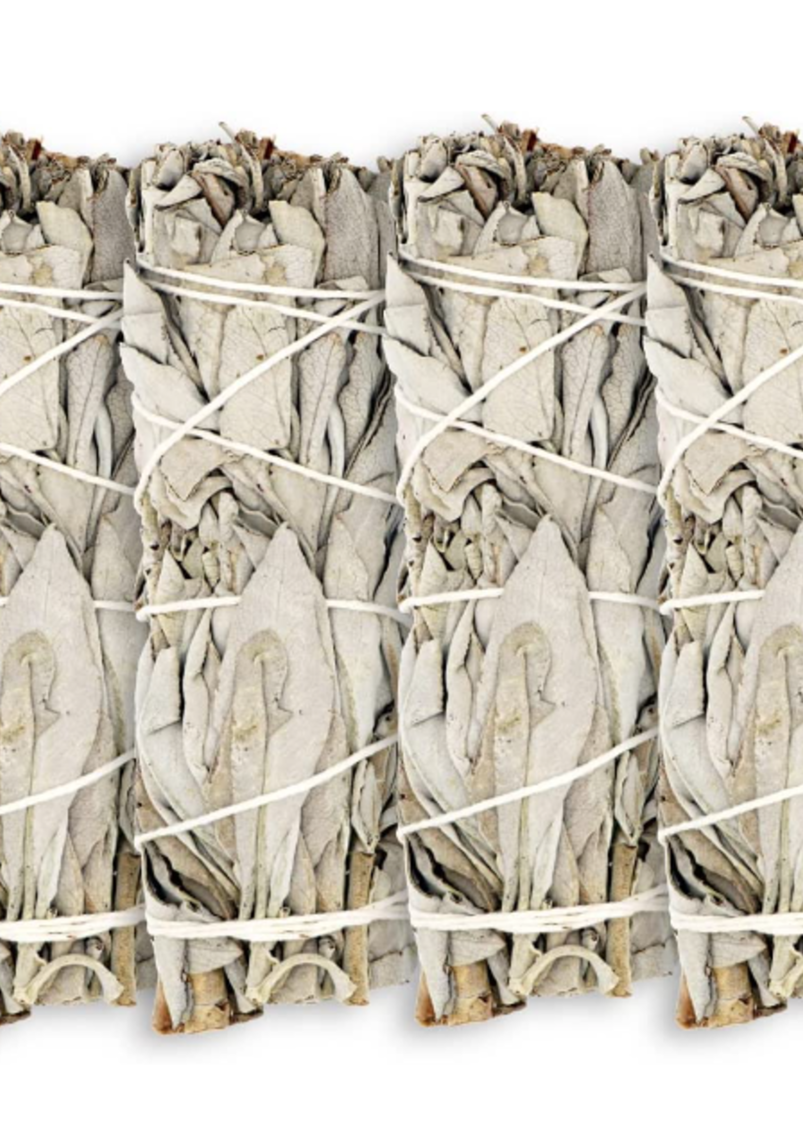 Generic White Sage Large 4CT
