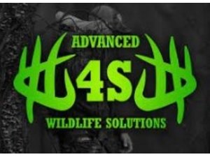 4S Advance Wildlife