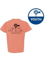 Old South Worn Logo Youth