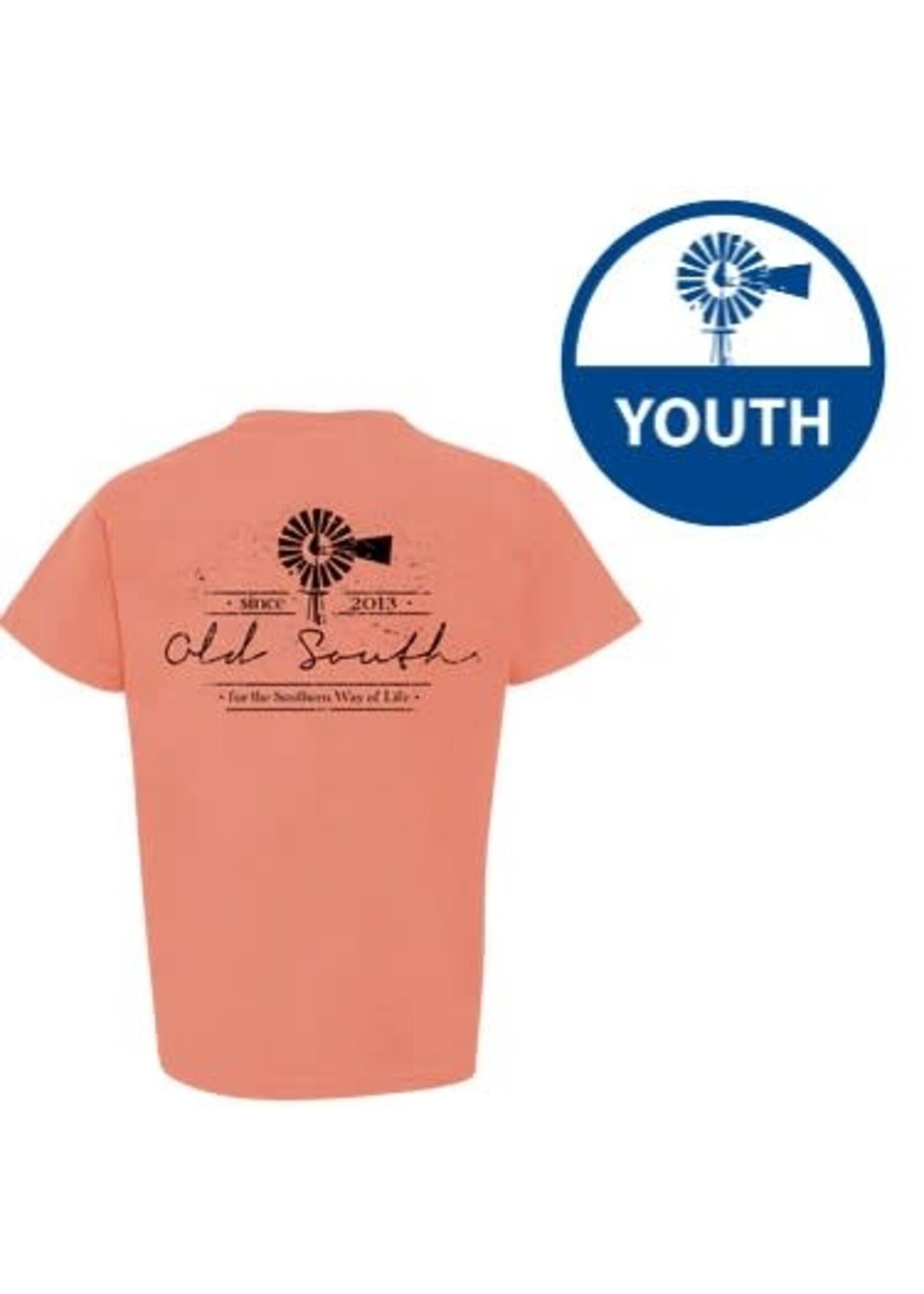 Old South Worn Logo Youth