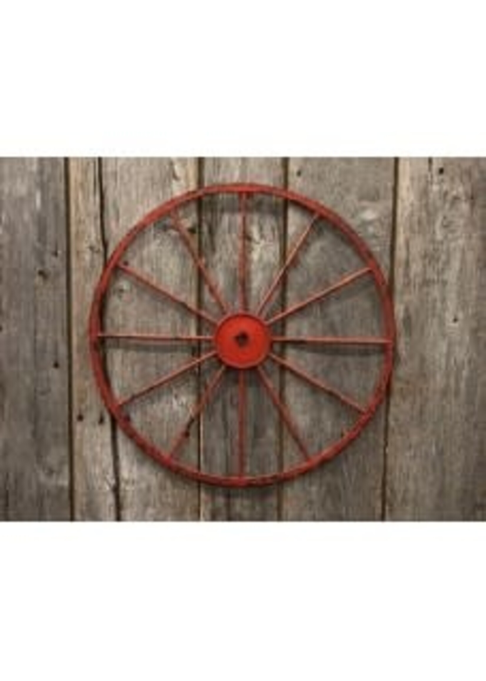 DNS Design Red Wagon Wheel Small