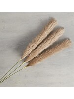 Brown Pampas Bunch Large