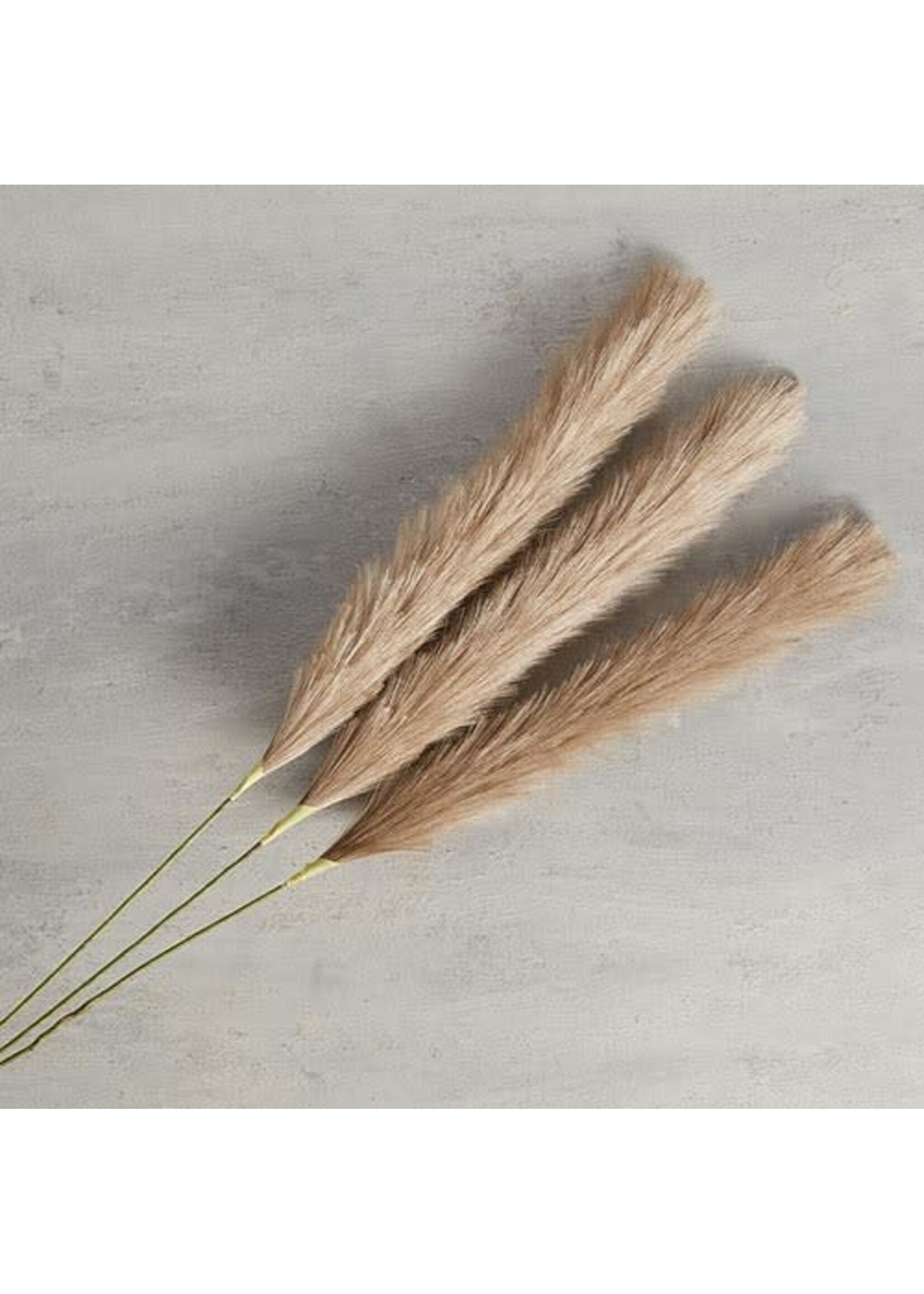 Brown Pampas Bunch Large