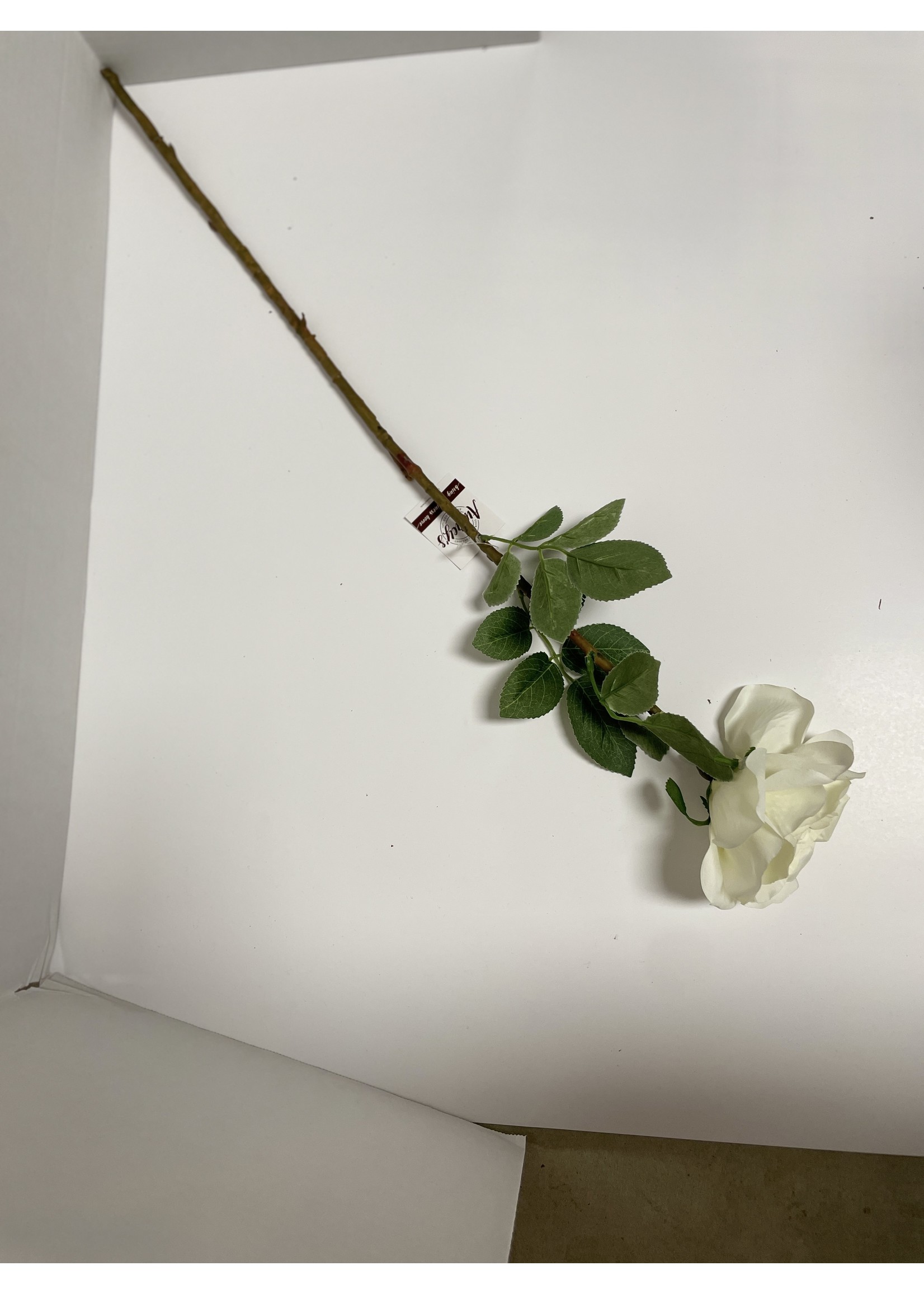 Branch - White Rose