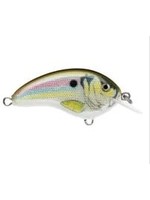 Rapala Ott's Garage Tiny 04