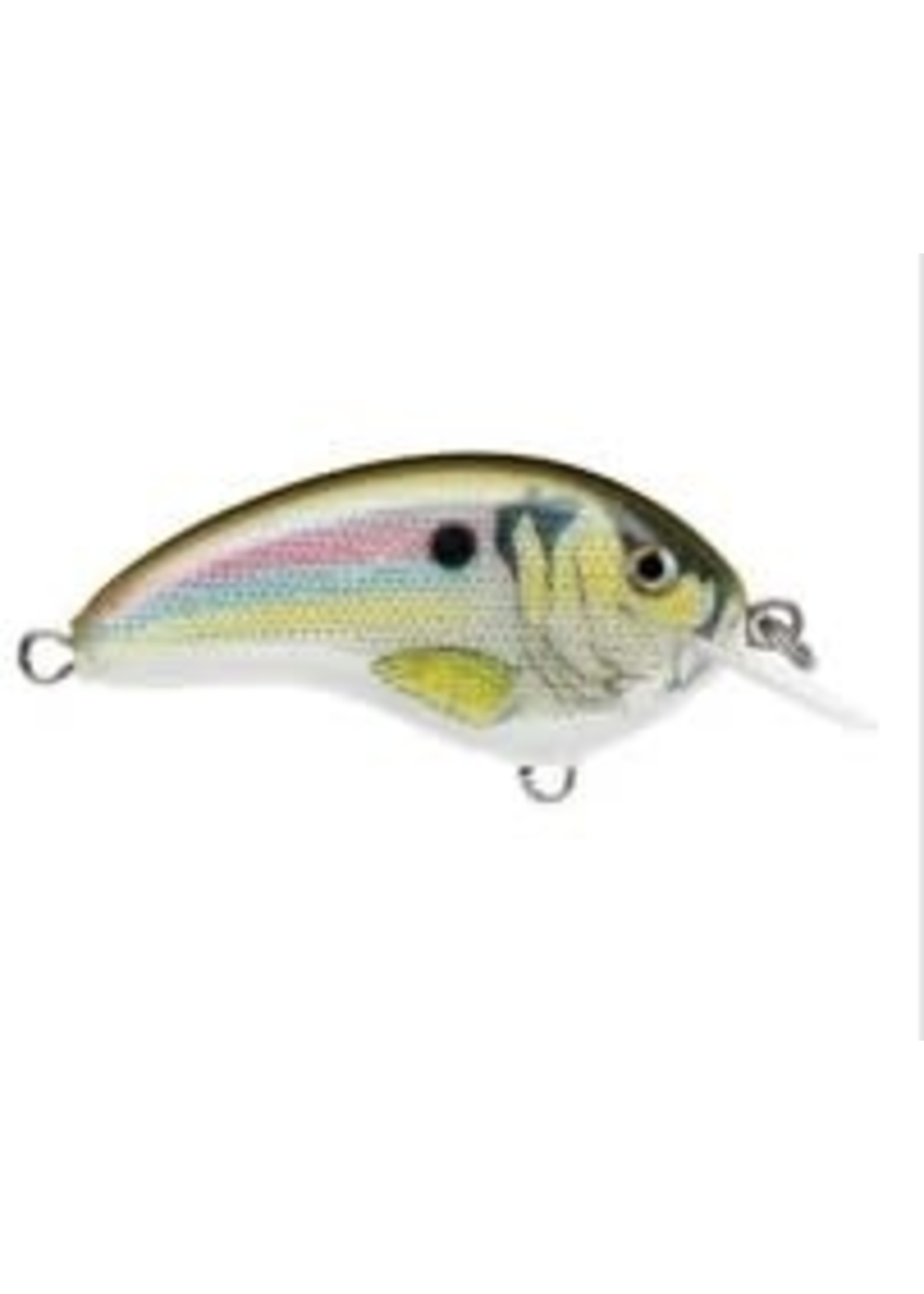 Rapala Ott's Garage Tiny 04