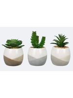 Ceramic Positive Vibes Succulents