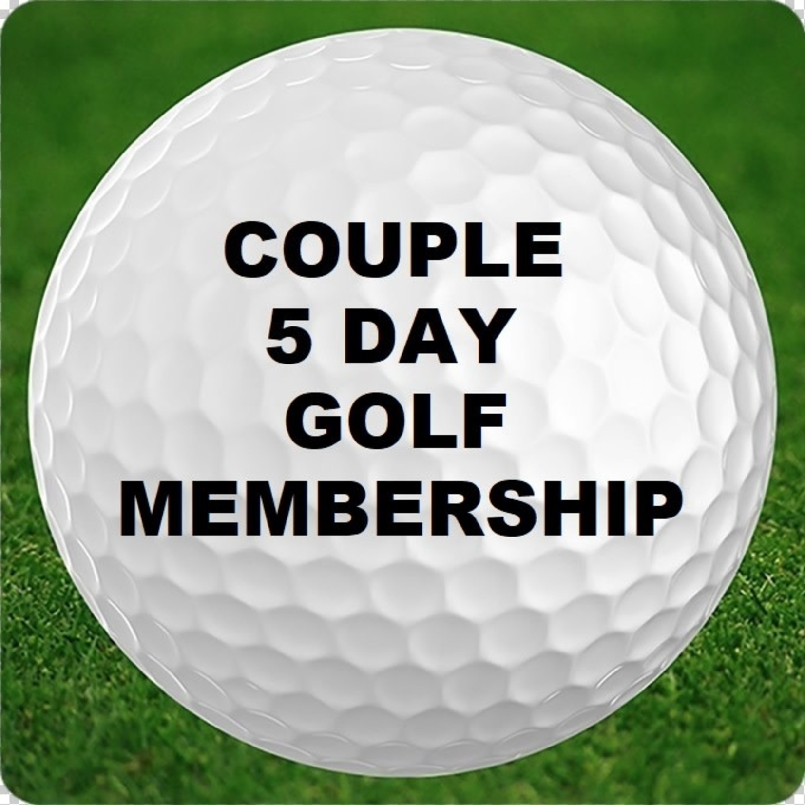 M - Adult Couple Walking  Membership - 5 day