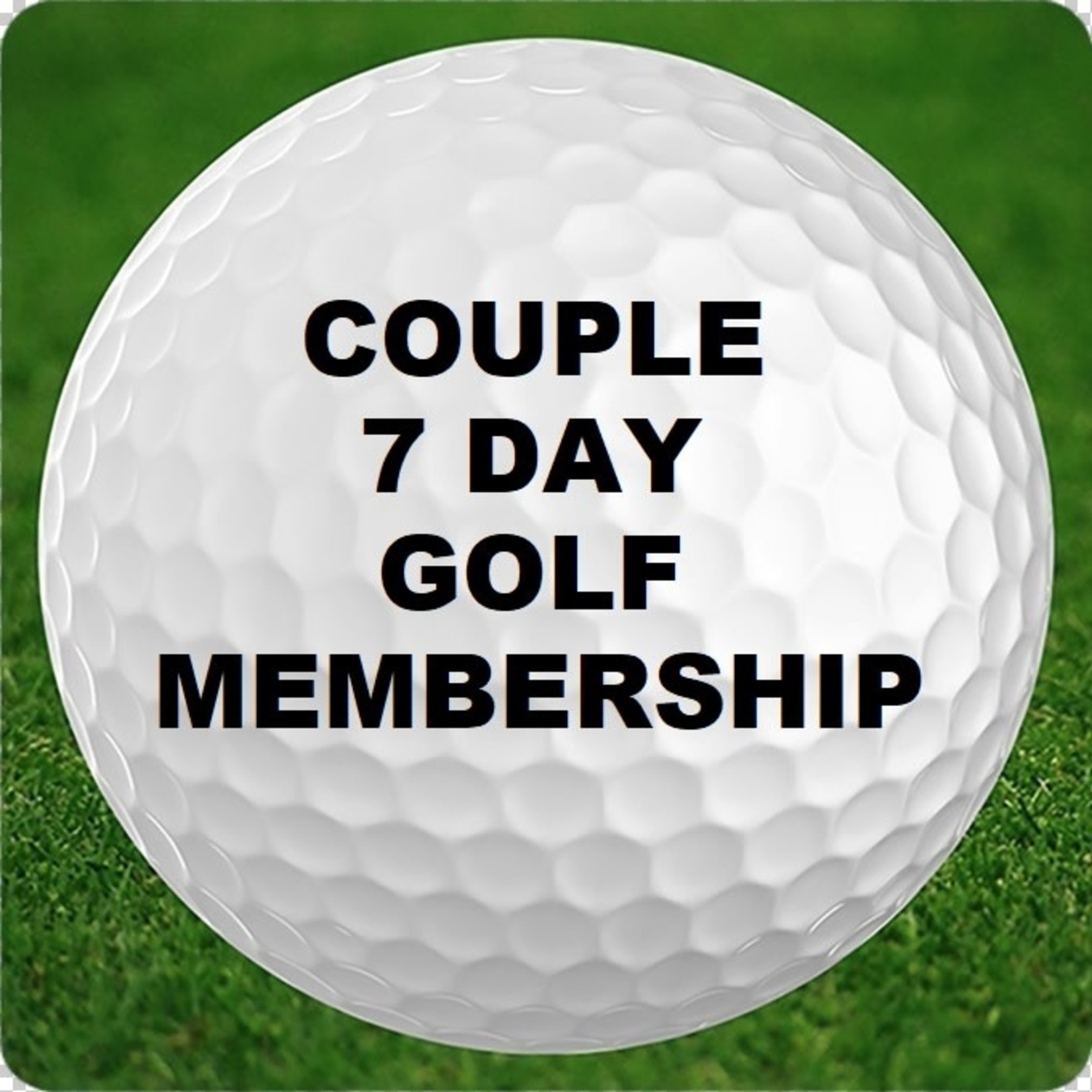M - Adult Couple Walking  Membership - 7 day
