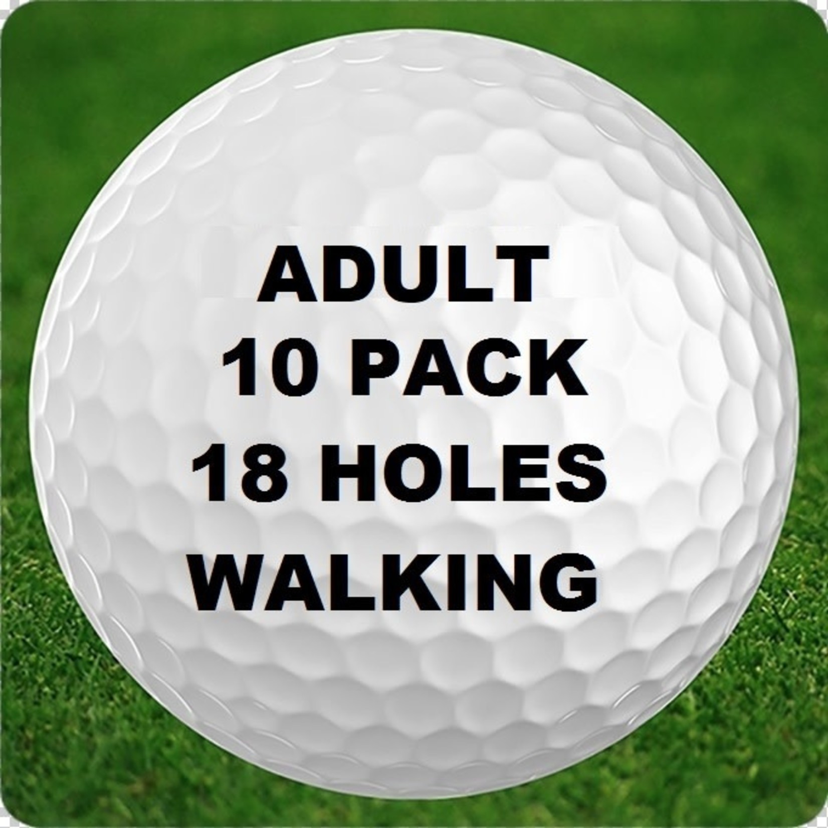 10 - 18 Holes - Adult - Walking - 10 Pack