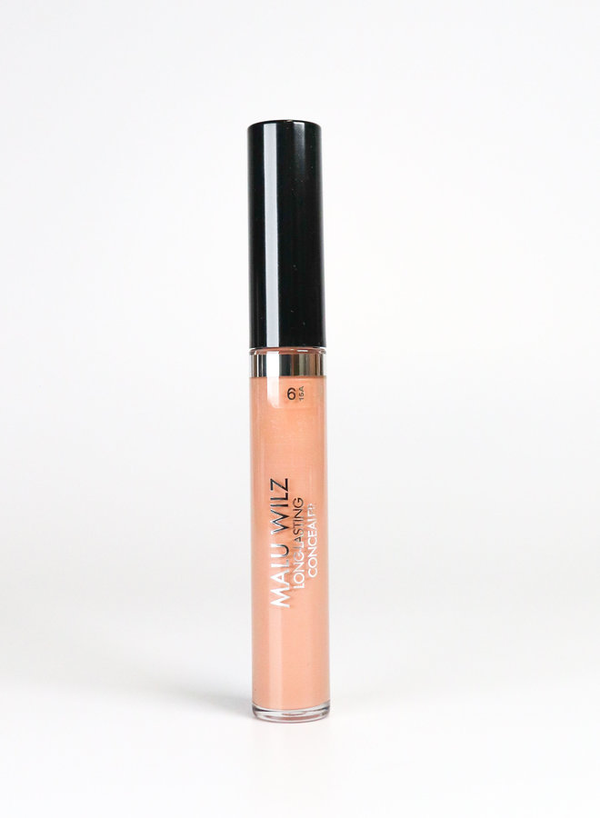 Longlasting concealer - 6