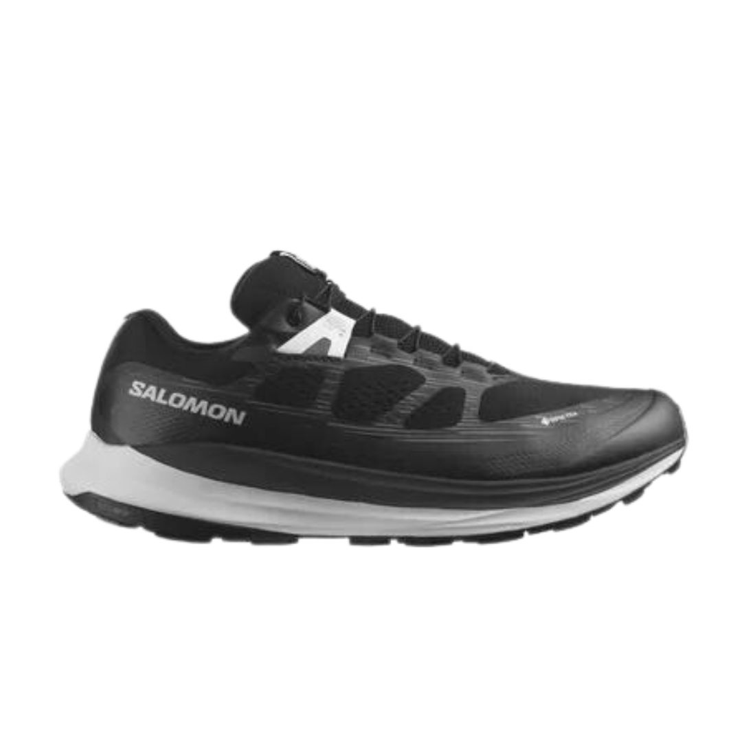 salomon trail blazer 2 gtx