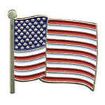 Hero's Pride American Flag Pin Wavy