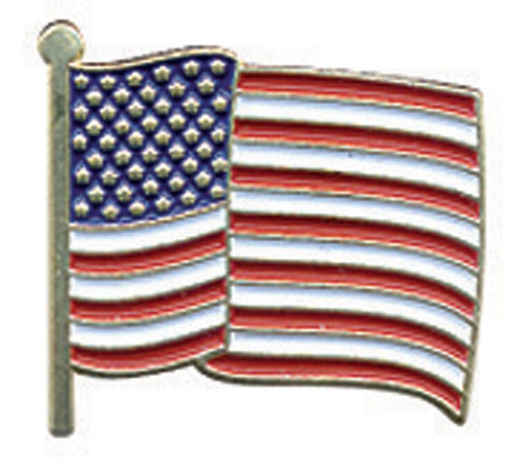Hero's Pride American Flag Pin Wavy