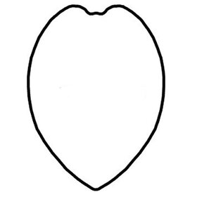 Hero's Pride HP Recessed Badge Holder - 0001