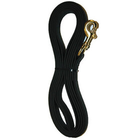 Elite K-9 ASAT Lead