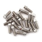 SSD RC SSD RC 2x5mm Scale Hex Bolts (Silver) (20) #SSD00369