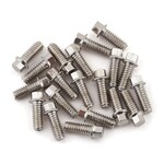 SSD RC #SSD00369 SSD RC 2x5mm Scale Hex Bolts (Silver) (20)