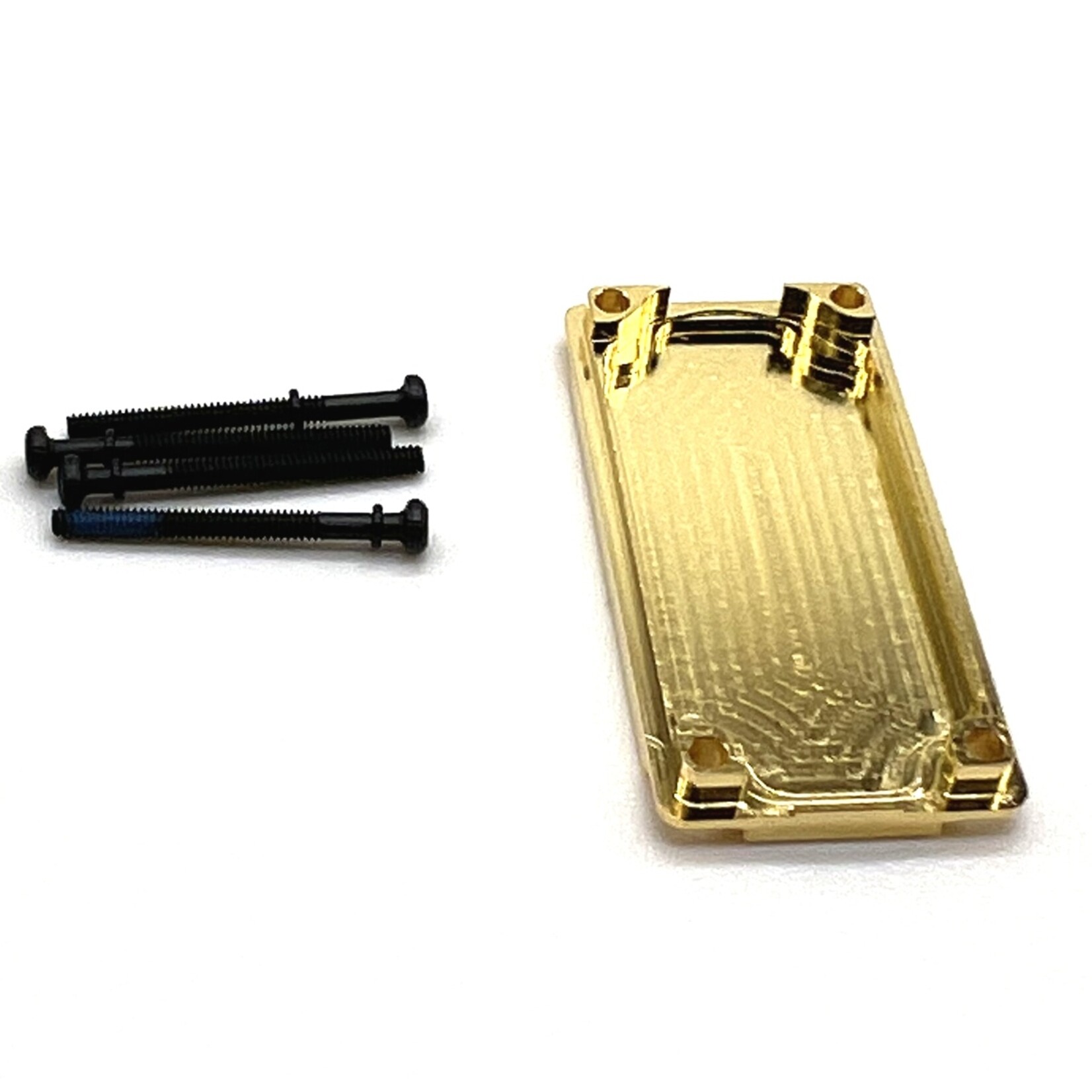 Reefs RC #REEFS166 Reefs RC Brass Bottomz RAW800LP Botom Case (Brass)