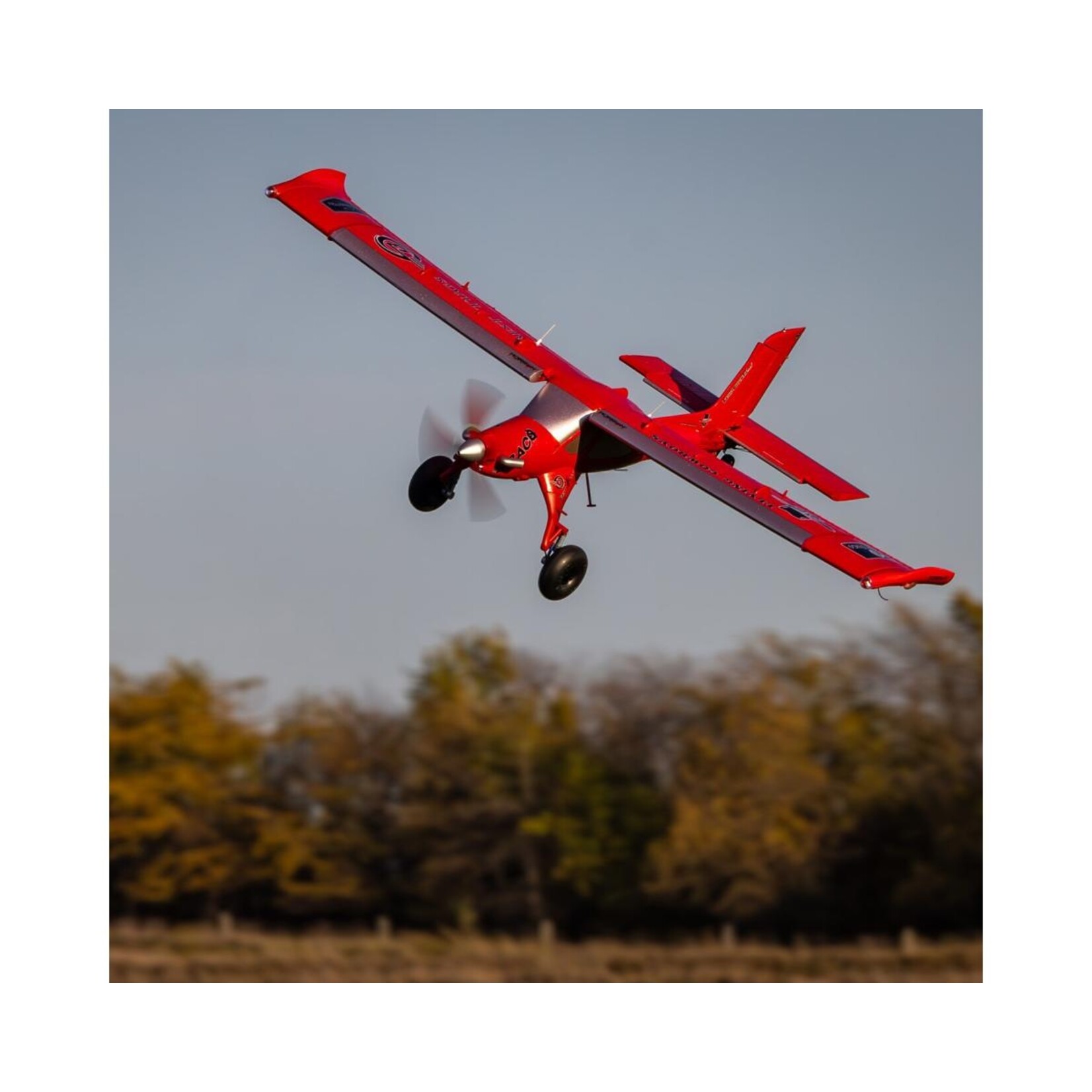 E-flite #EFL13550 E-flite Micro DRACO Bind-N-Fly Basic Electric Airplane (800mm) w/AS3X & SAFE Select