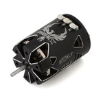 Exalt #EXA01135GSC Team Exalt Phoenix Gold Spec Brushless Carpet Motor (13.5T)