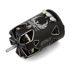 Exalt #EXA01175GSC  Team Exalt Phoenix Gold Spec Brushless Carpet Motor (17.5T)