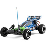 Traxxas #24254-8-GRN  Traxxas Bandit 1/10 RTR 2WD Electric Buggy (Green) w/XL-5 ESC, TQ 2.4GHz Radio, Battery & USB-C Charger