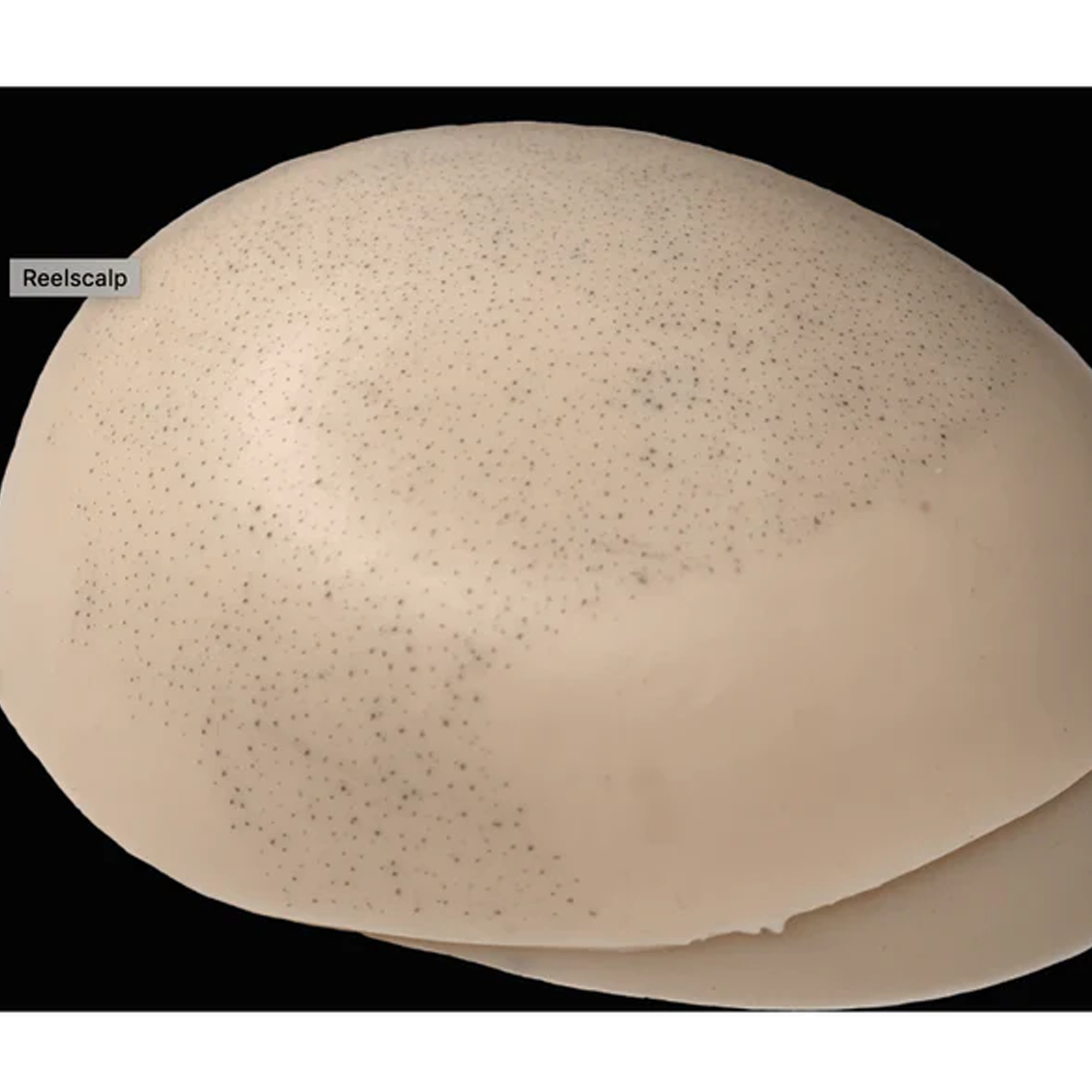 REELSKIN SYNTHETIC TATTOO PRACTICE SKIN REELSCALP SKINS Anarchy