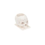 SAFERLY SKULL ECO INK CAPS — SIZE #16 (LARGE) — BAG OF 50