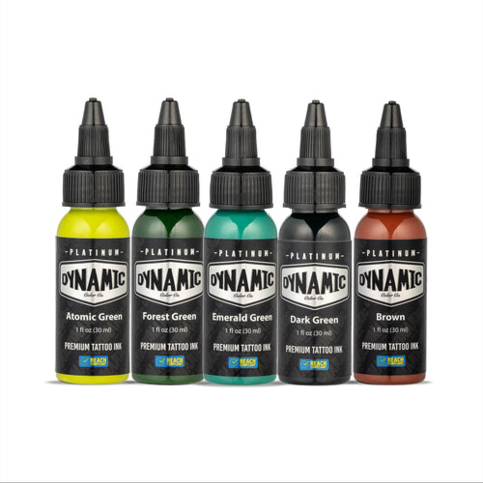 DYNAMIC INK PLATINUM EARTH 1OZ 5 BOTTLE COLOR SET