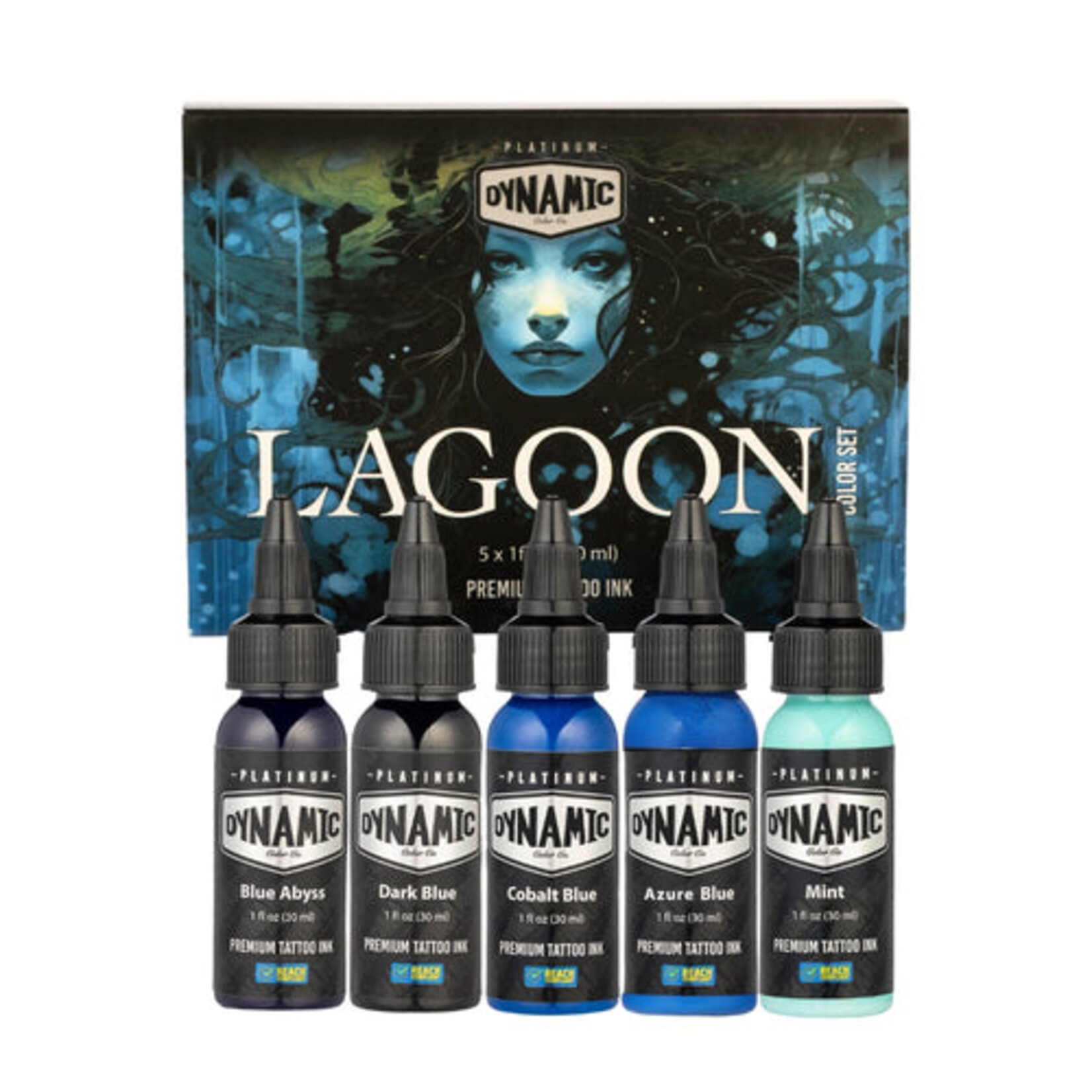 DYNAMIC INK DYNAMIC INK PLATINUM LAGOON1OZ 5 BOTTLE COLOR SET