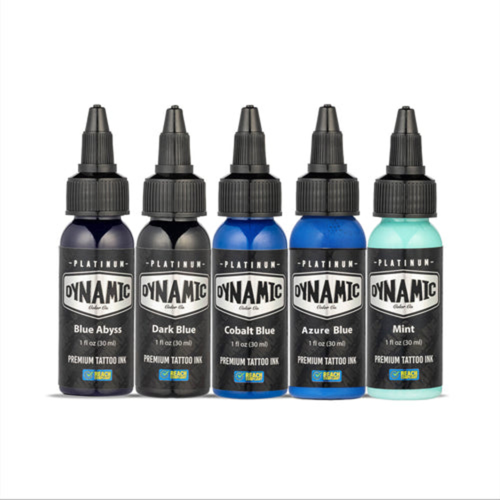 DYNAMIC INK DYNAMIC INK PLATINUM LAGOON1OZ 5 BOTTLE COLOR SET