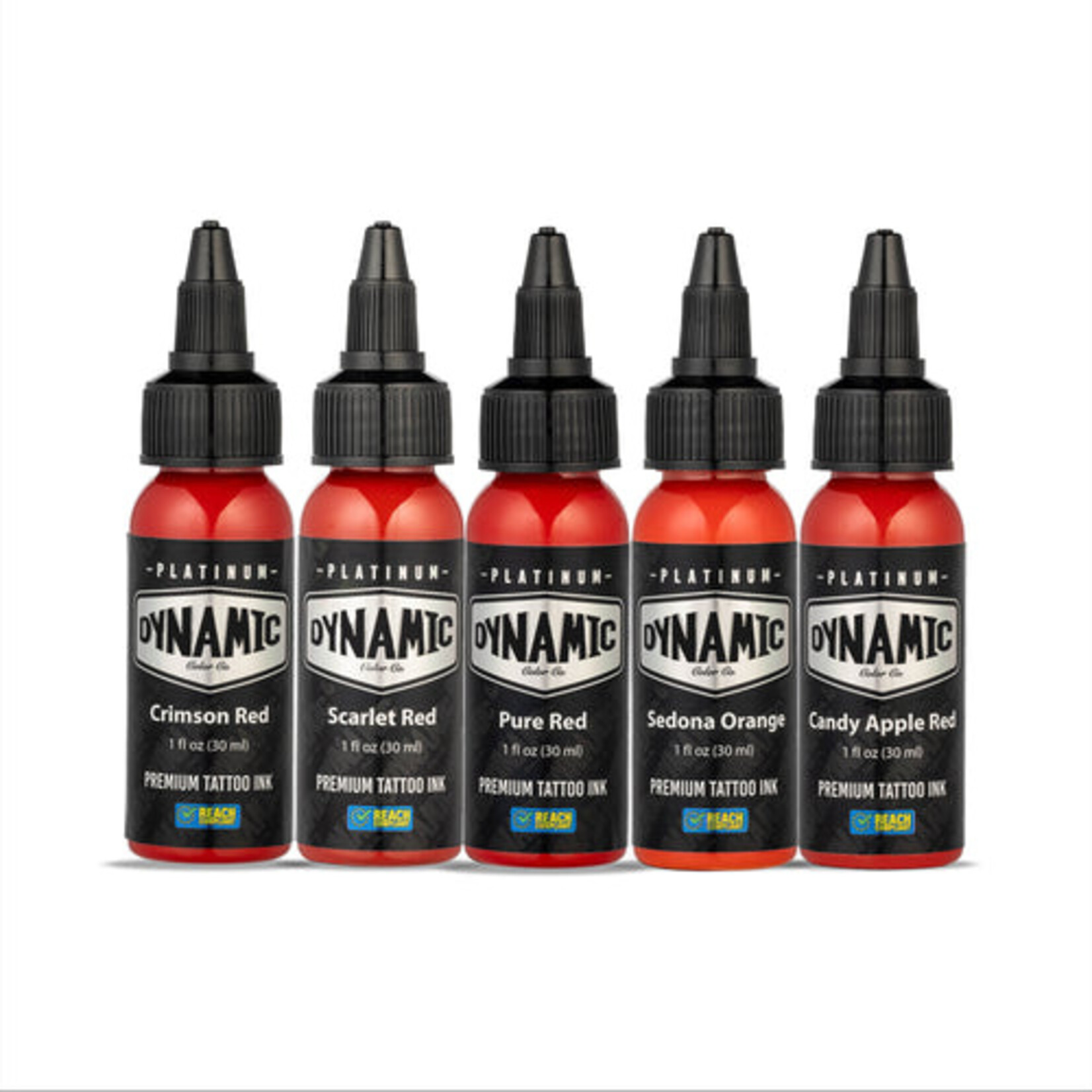 DYNAMIC INK PLATINUM ENVY 1OZ 5 BOTTLE COLOR SET