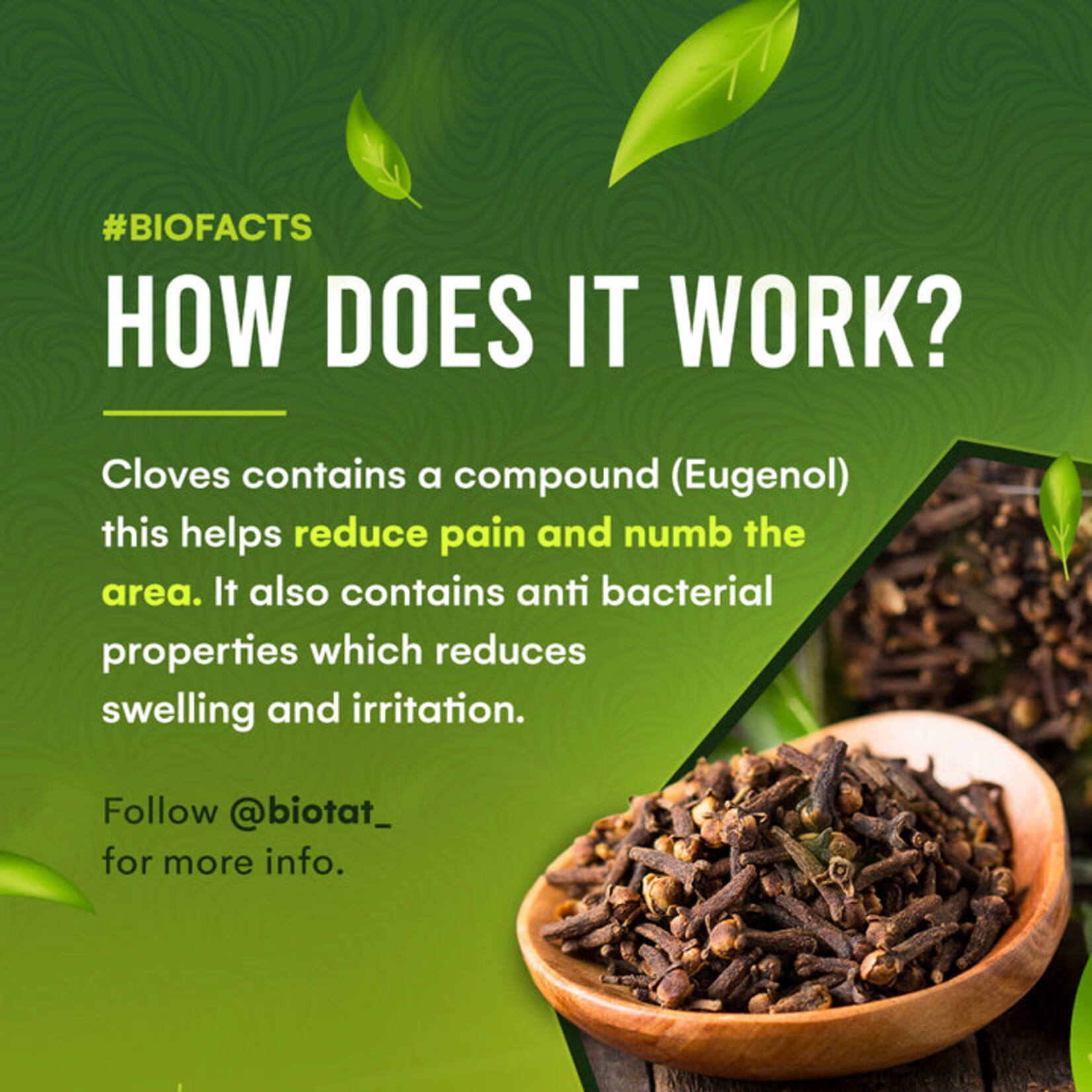 BIOTAT SCREAM WITH ENVY - GLOW IN THE DARK PACKAGING