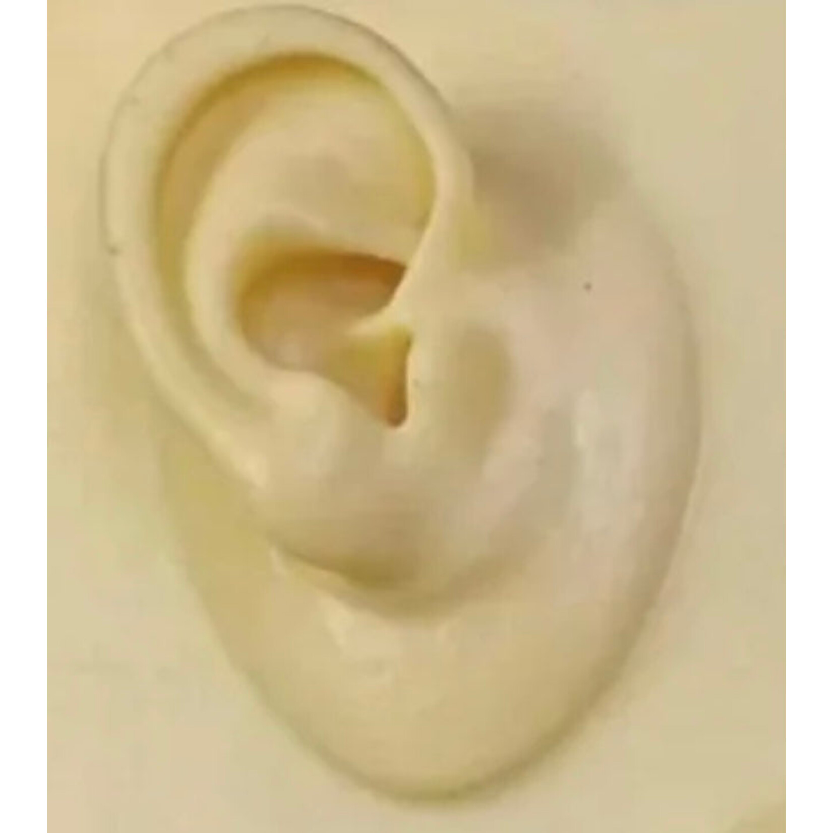 REELSKIN PIERCING & TATTOO PRACTICE