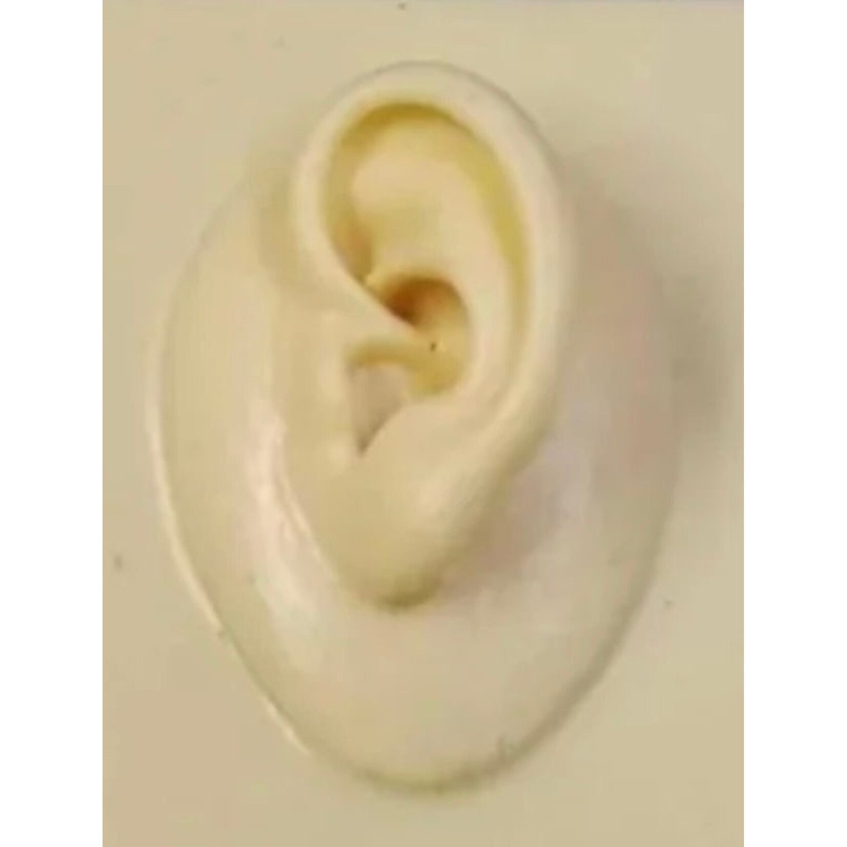 REELSKIN PIERCING & TATTOO PRACTICE