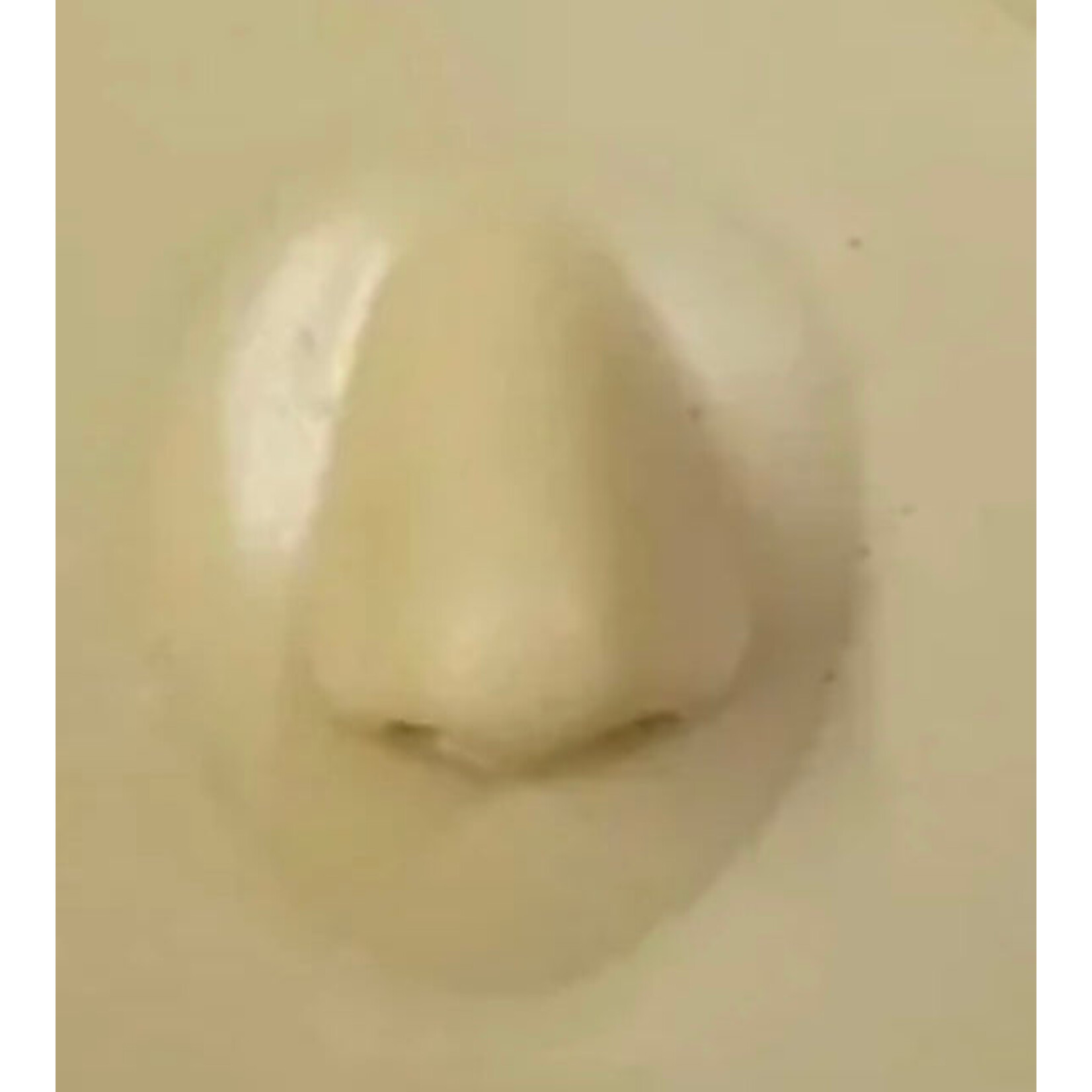 REELSKIN PIERCING & TATTOO PRACTICE