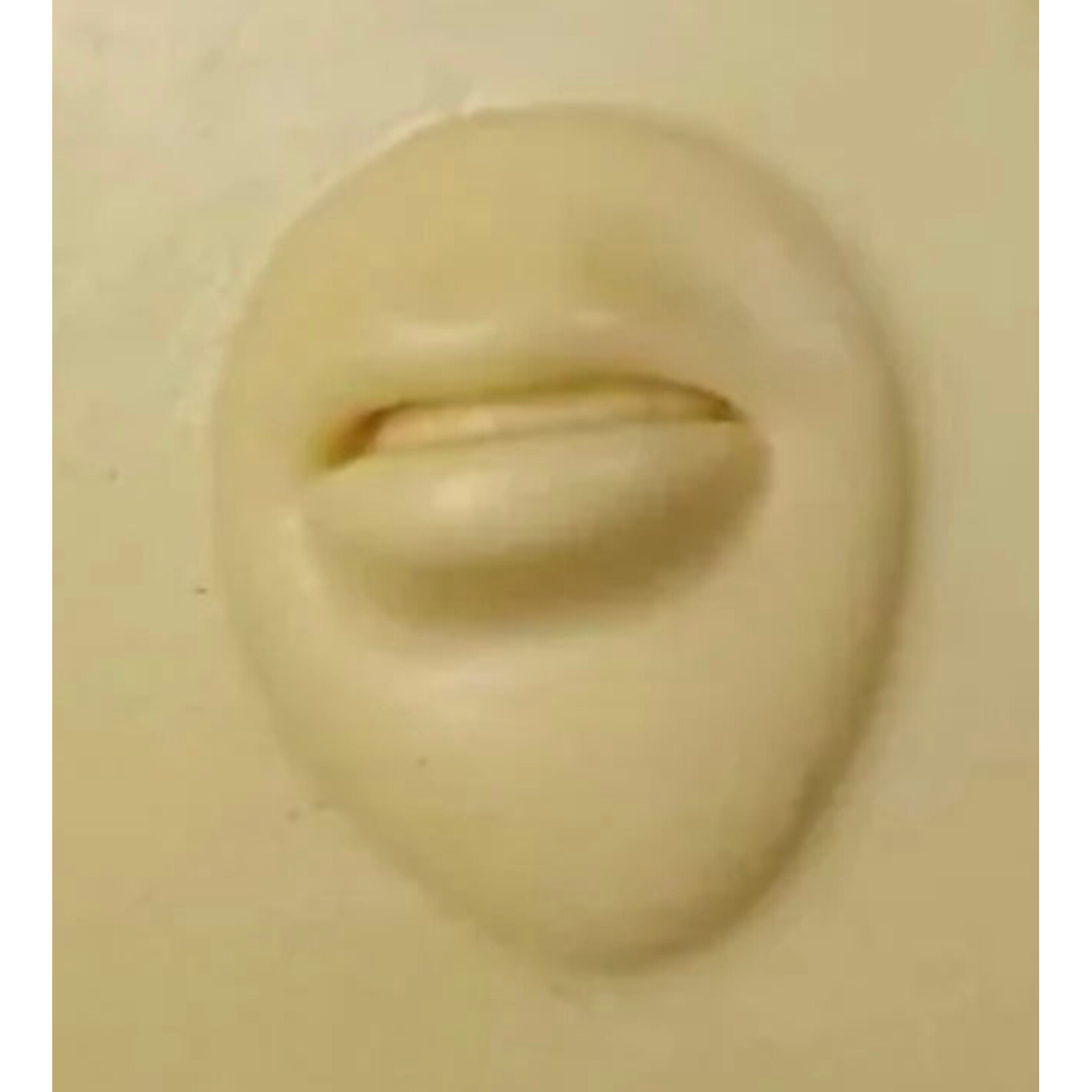 REELSKIN PIERCING & TATTOO PRACTICE