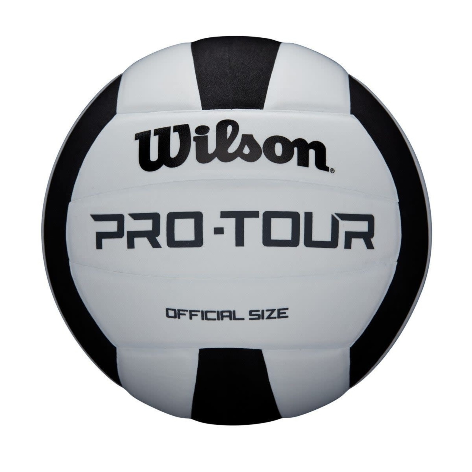 Wilson Wilson Volleyball Pro Tour Black & White (Deflated)