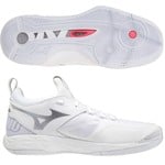 Mizuno Mizuno Wave Momentum 2 Men's Indoor Court Shoes