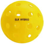 Selkirk Selkirk Hybrid Indoor/Outdoor Pickleball (1B)