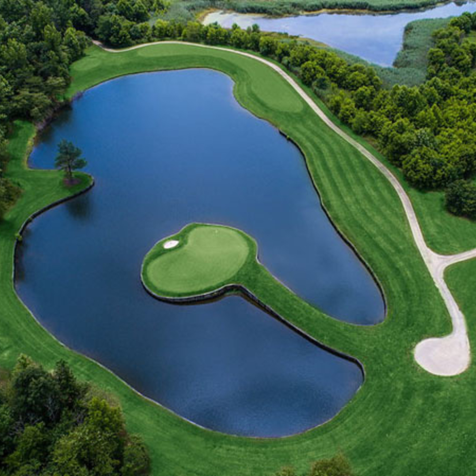 Ultimate Round of Golf