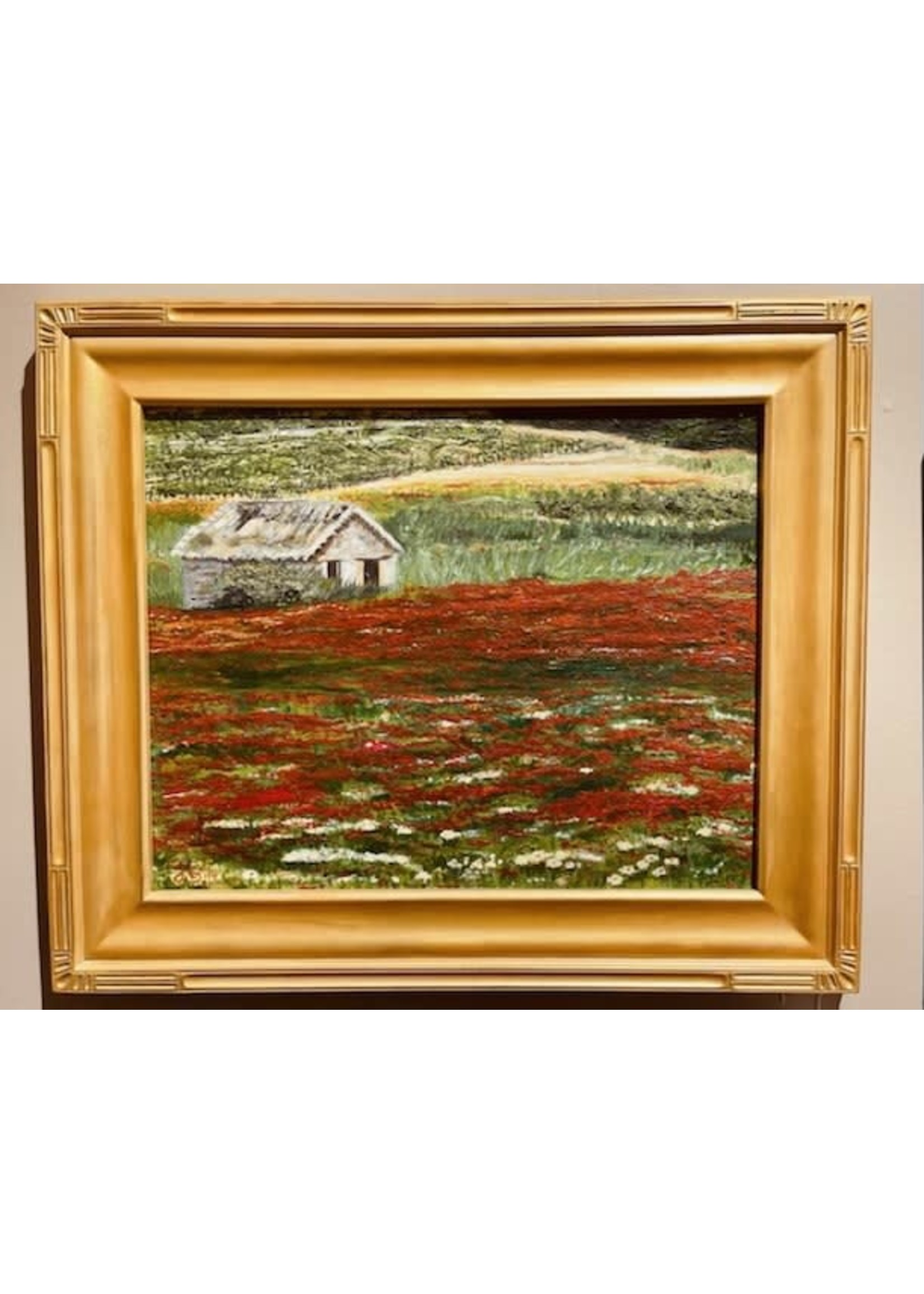 SZUP22 - Poppies in Provence
