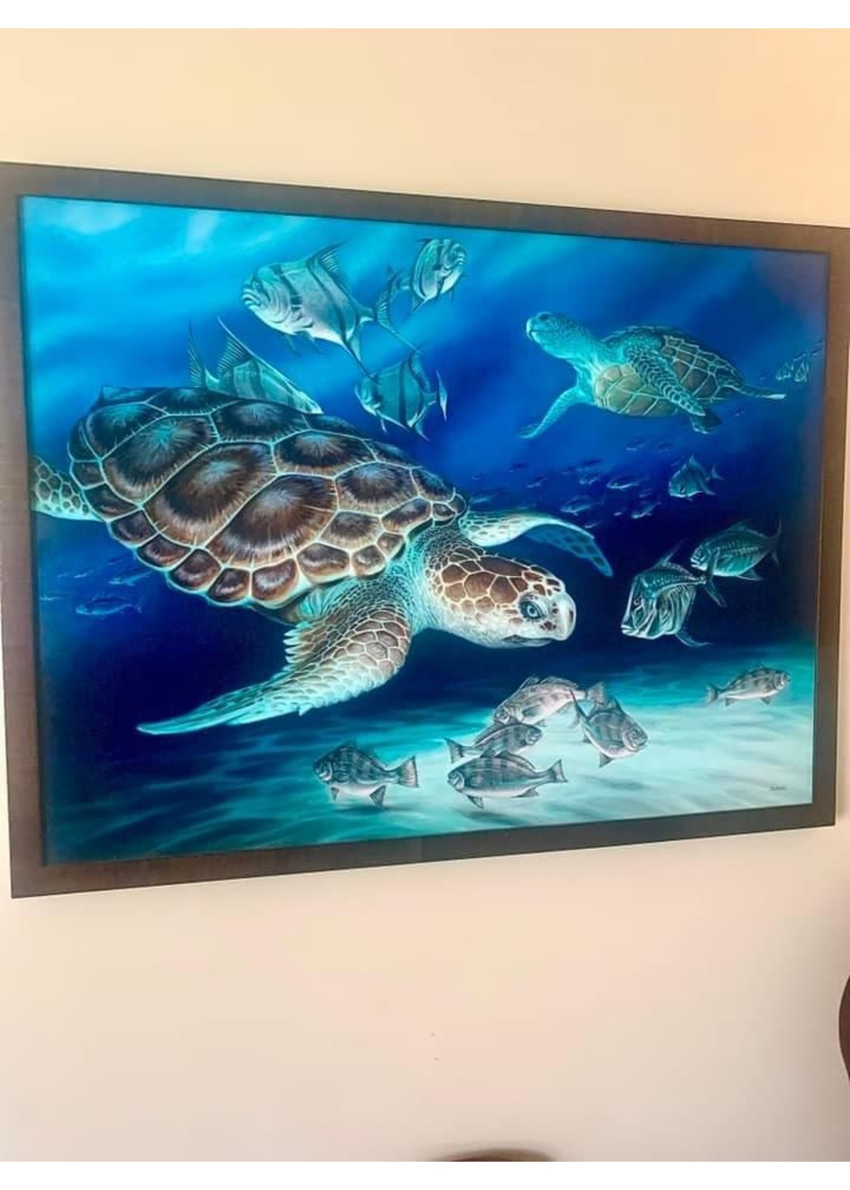 Blueskies Gallery BLUESKIES GALLERY VIRGINIA BEACH SEA TURTLES OIL ON CANVAS 40 X 30