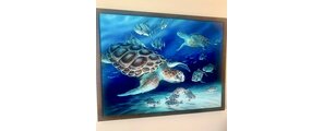 Blueskies Gallery