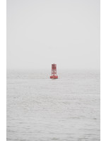 Justin Parker "It's probably 22" 8X10 Print
