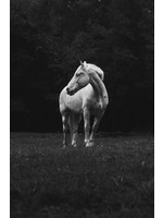 Justin Parker  "It's not a wig" 20X30 Print