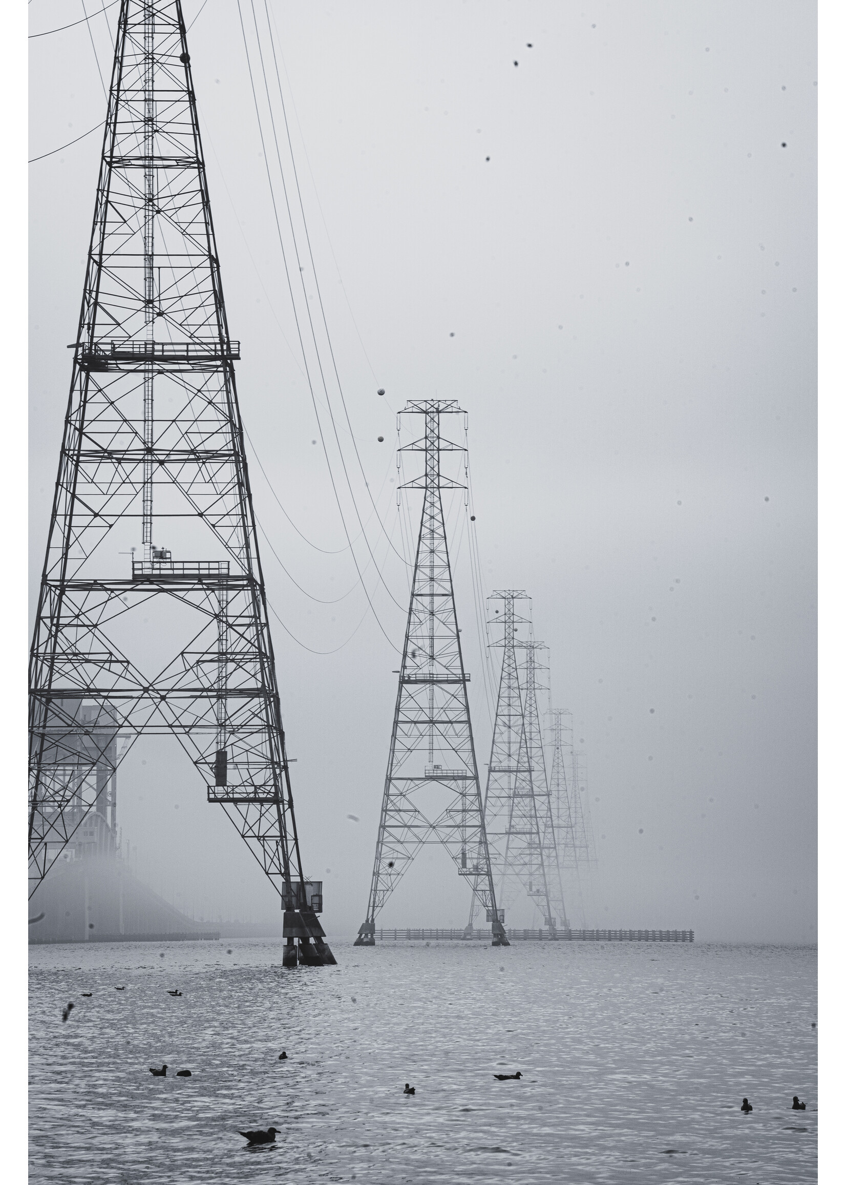 Justin Parker "It's electric" 12X18 Print