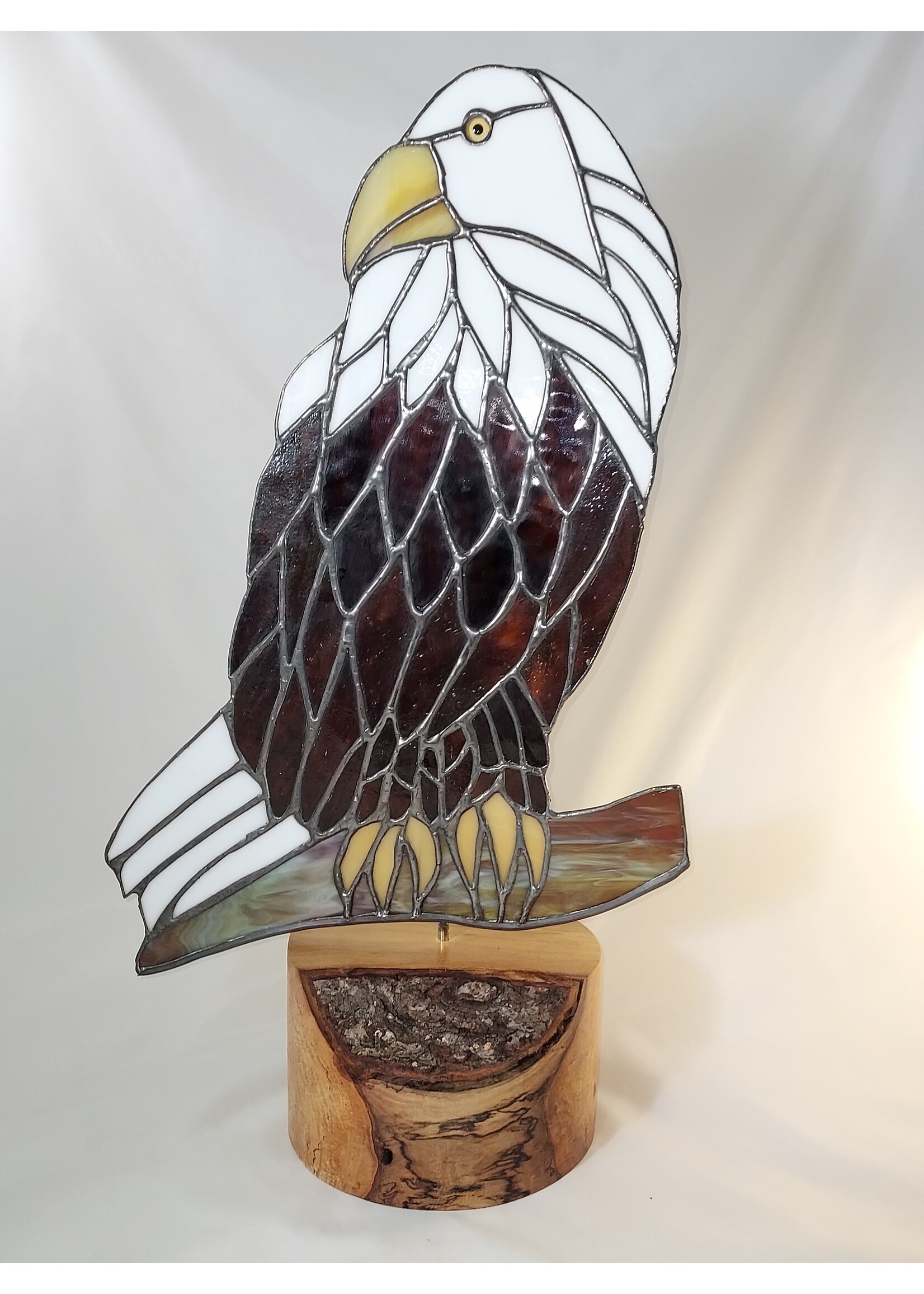 SWEL/Bald Eagle