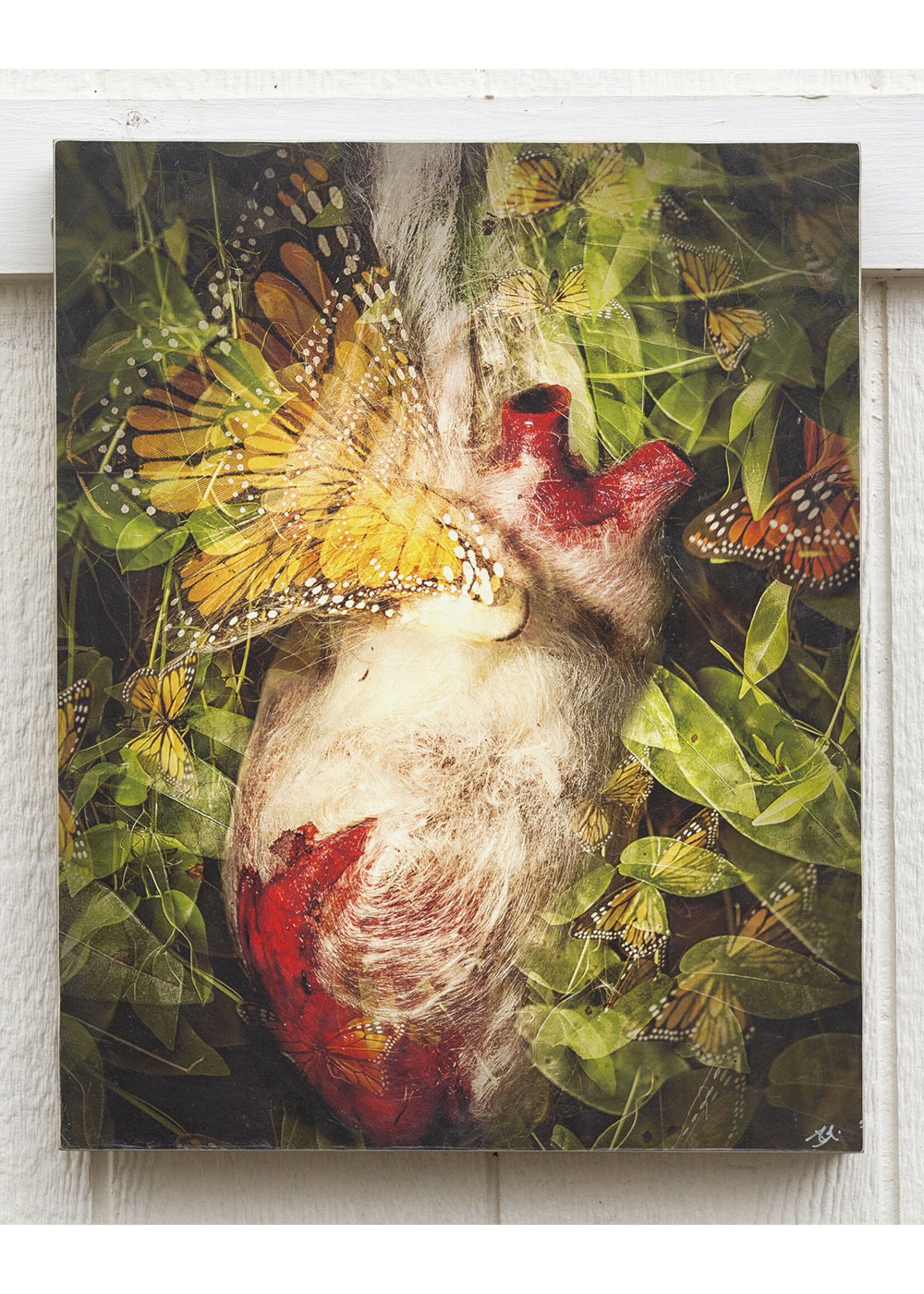 Yuli Anun YULI ANUN-Chrysales Heart 16x20